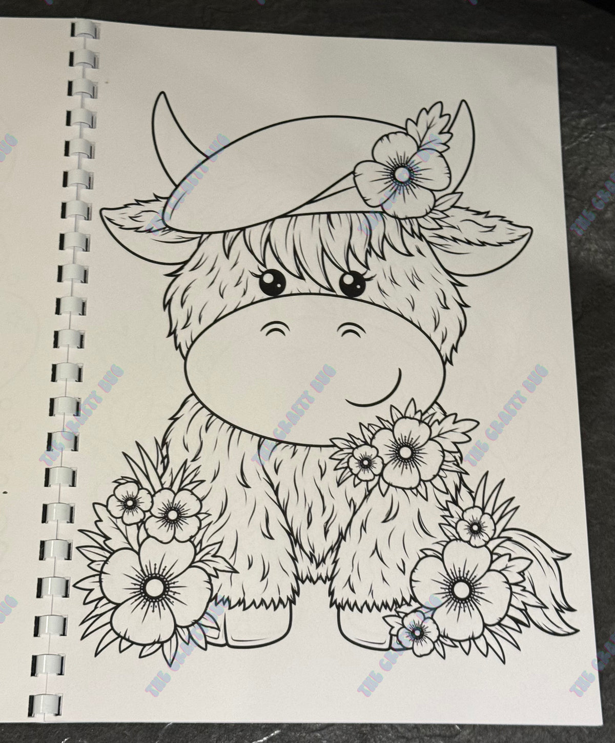 Highland cow Colouring book