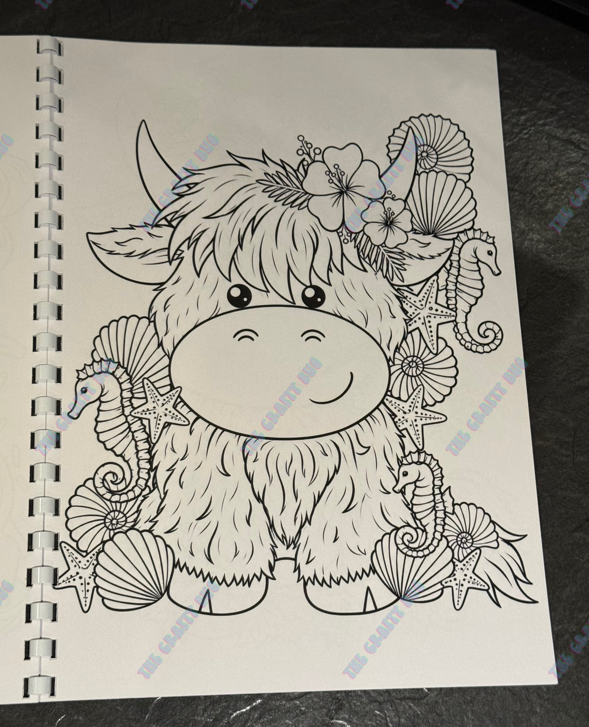 Highland cow Colouring book